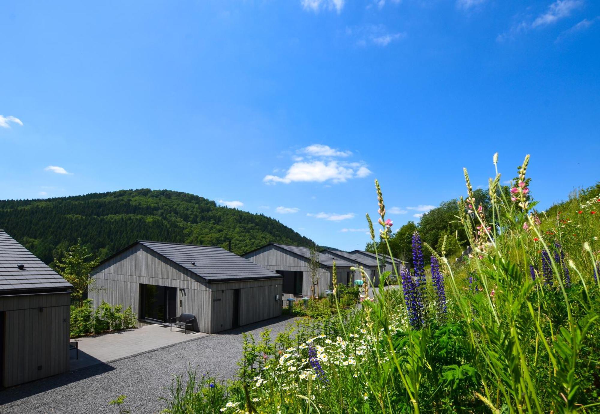 Sauerland Lodge - Haus Julius وينتربرغ المظهر الخارجي الصورة